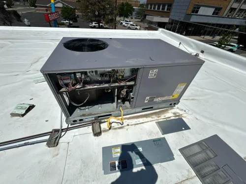 512593402 122188756784348205 8687797700028223089 n