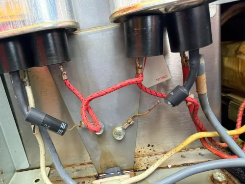 600292250 122207697938348205 5289117303517601488 n